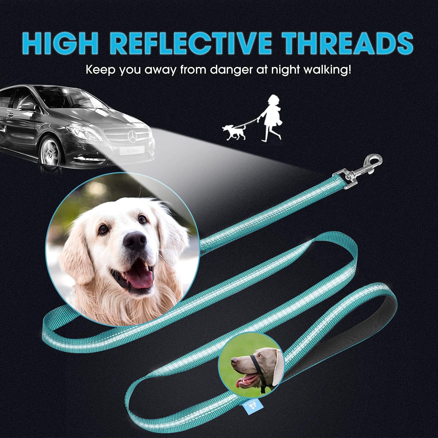 5 Feet Nylon Dog Leash with Triple Reflective Threads and Comfortable Padded Handle for Walking, Training Lead Small Puppy, Medium and Large Dogs (1.0'' X 5 FT, Teal)