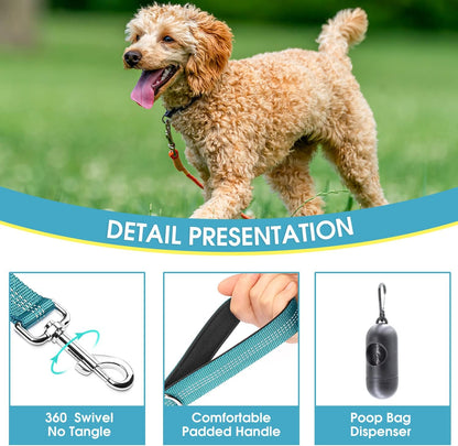 5 Feet Nylon Dog Leash with Triple Reflective Threads and Comfortable Padded Handle for Walking, Training Lead Small Puppy, Medium and Large Dogs (1.0'' X 5 FT, Teal)