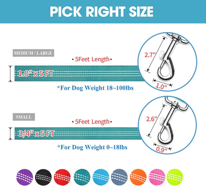 5 Feet Nylon Dog Leash with Triple Reflective Threads and Comfortable Padded Handle for Walking, Training Lead Small Puppy, Medium and Large Dogs (1.0'' X 5 FT, Teal)